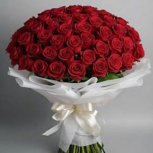 Букет 101 Красная роза Блэк Мэджик #REPLACE_PRED# Черном Яре