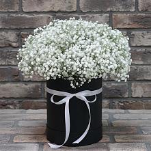 Цветочная композиция из Гипсофила в шляпной коробке в Черном Яре