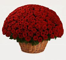 Премиум букет из: Розы в Черном Яре